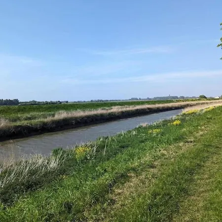 In With Bubble Bath سبا